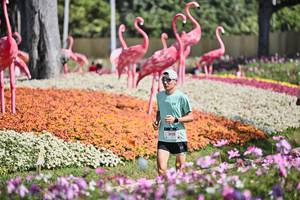 BIB: 
                            <button type="button" onclick="openModal(27793511)" class="btn btn-primary btn-sm float-right btn-popup" data-toggle="modal" data-target=".modal-high-quality">
                        <i class="fas fa-shopping-cart"></i> Add to Cart
                    </button>
                                            <button type="button" onclick="isThisMe(27793511, true)" class="btn btn-success btn-sm float-right btn-popup btn-isme hidden" data-toggle="tooltip" data-placement="bottom" title="นี่คือรูปของคุณใช่ไหม คลิกที่นี่เพื่อเอาเข้าอัลบั้ม">
                        <i class="fas fa-plus"></i> Add to album
                    </button>
                    <button type="button" onclick="isThisMe(27793511, false)" class="btn btn-warning btn-sm float-right btn-popup btn-isnotme hidden">
                        <i class="fas fa-ban"></i> Remove from album
                    </button>